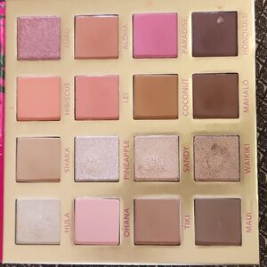 BH Cosmetics Hangin In Hawaii Palette